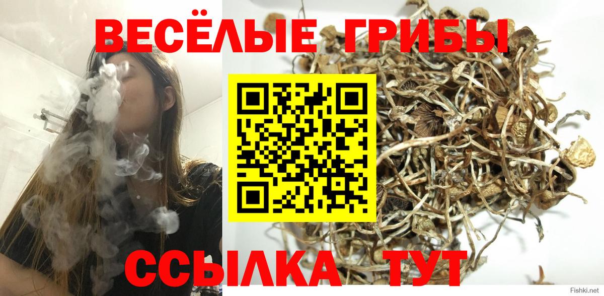 Галлюциногенные грибы Cubensis Отрадный